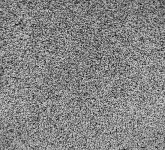Big Dog Flooring Carpet Flooring